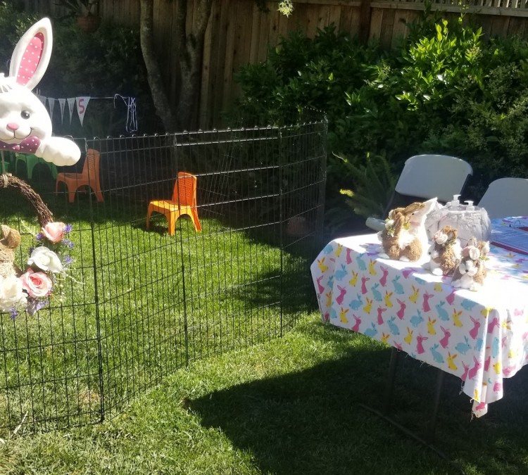 bunny-gurus-mobile-petting-zoo-photo